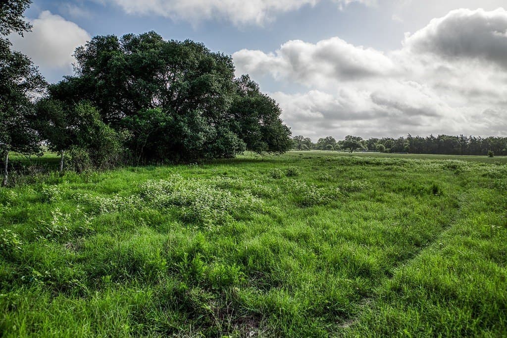 17.18 acres in Fayette County - photo 8