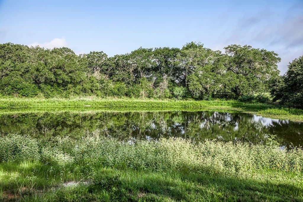 17.18 acres in Fayette County - photo 3