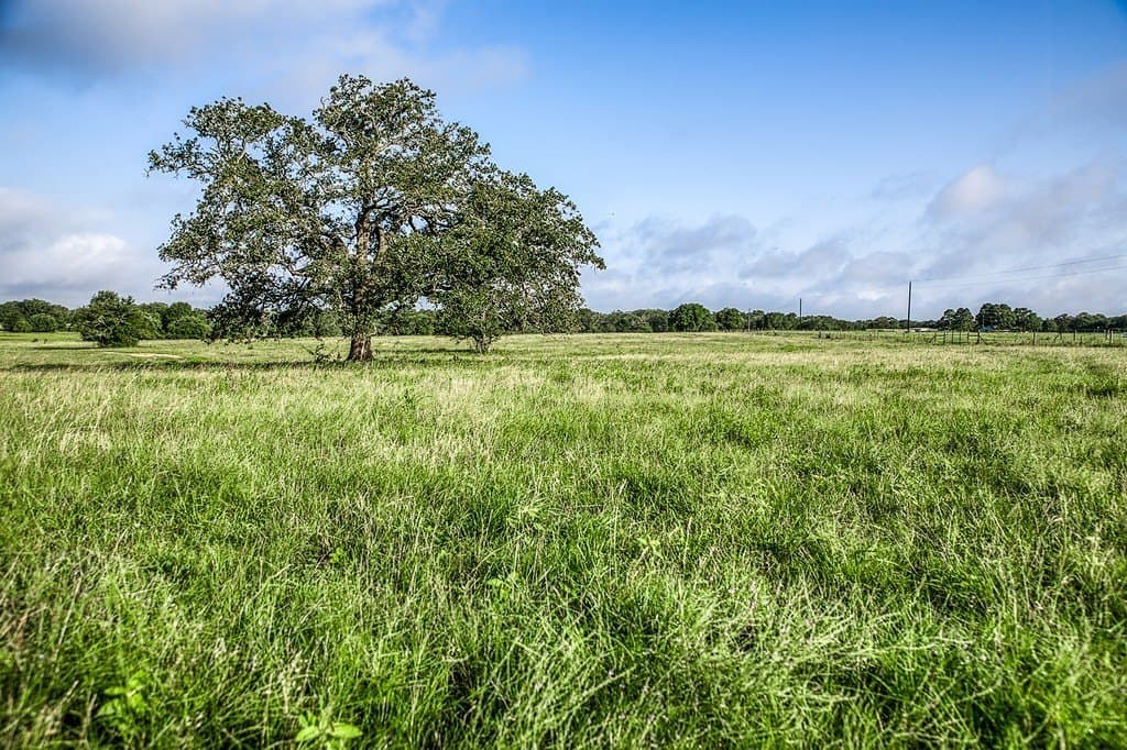 17.18 acres in Fayette County - photo 4