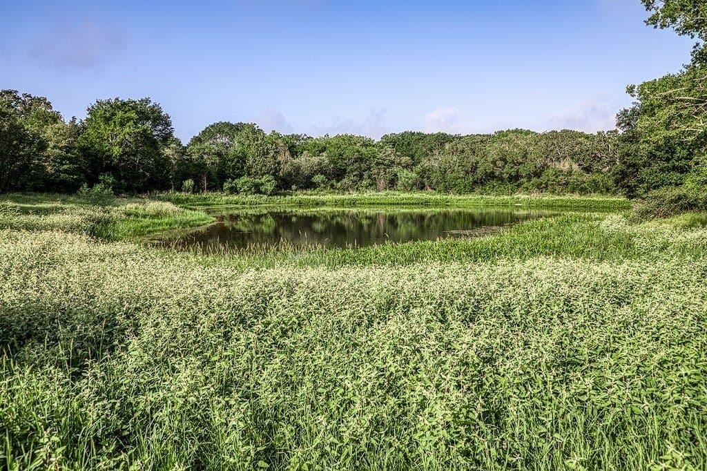 17.18 acres in Fayette County - photo 5