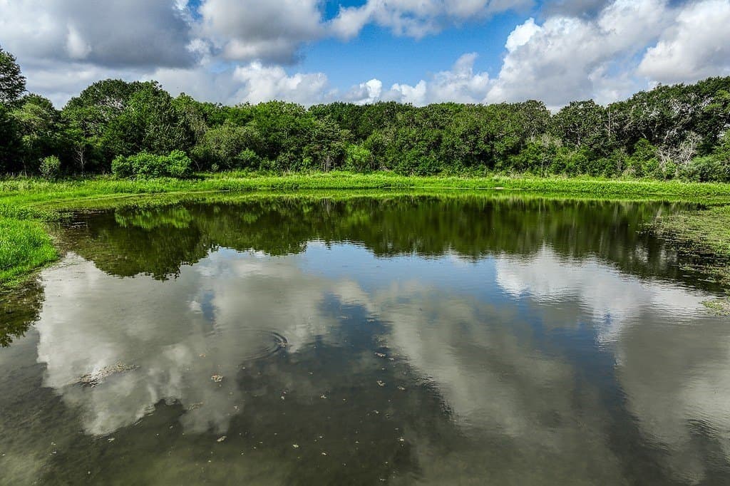 17.18 acres in Fayette County - photo 2
