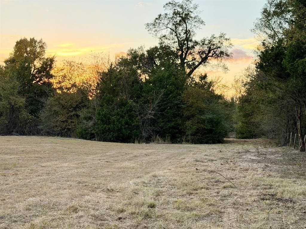 2.47 acres in Rains County - photo 5