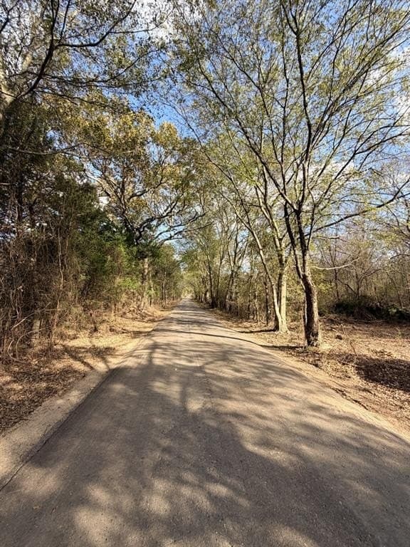 2.47 acres in Rains County - photo 4