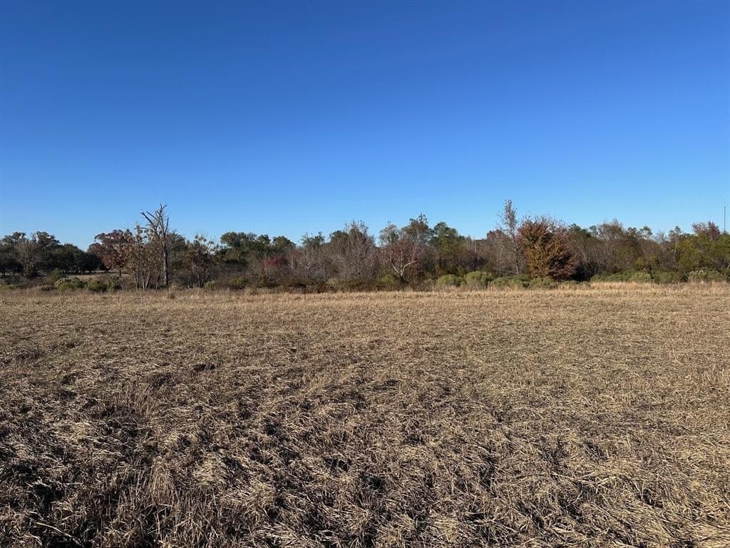 12 acres in Henderson County - photo 3