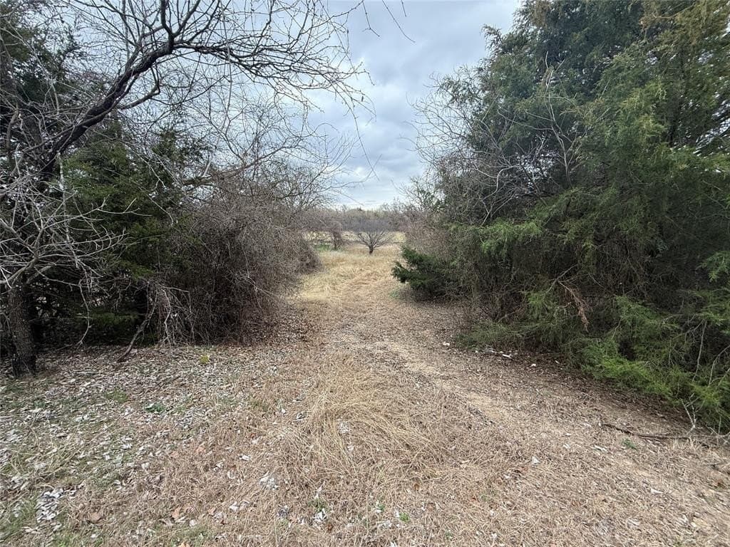 4.28 acres in Wise County - photo 7