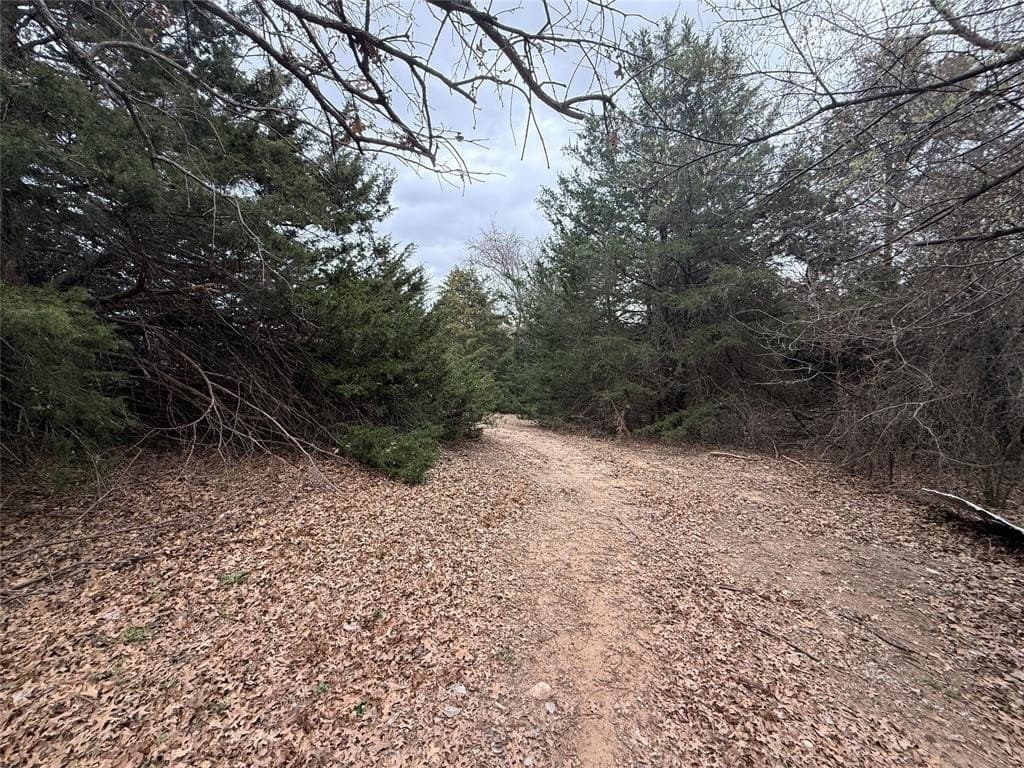 4.28 acres in Wise County - photo 8