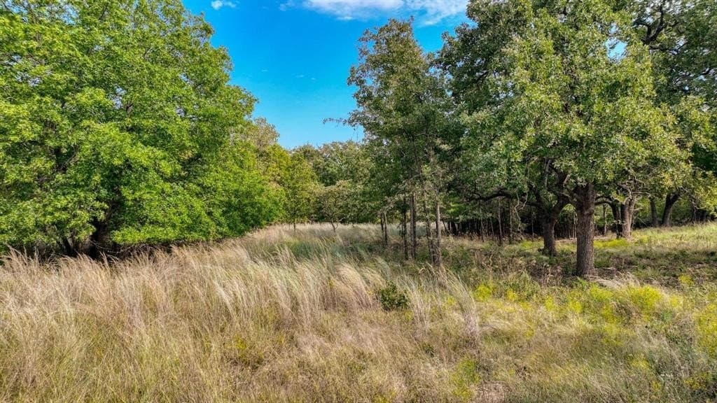 1.54 acres in Parker County - photo 4