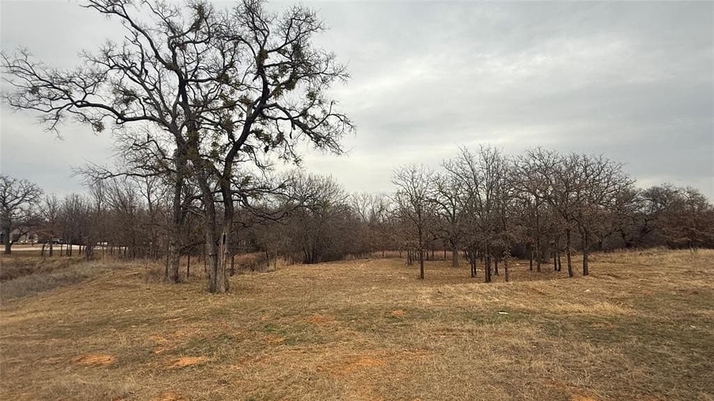 1.54 acres in Parker County - photo 12