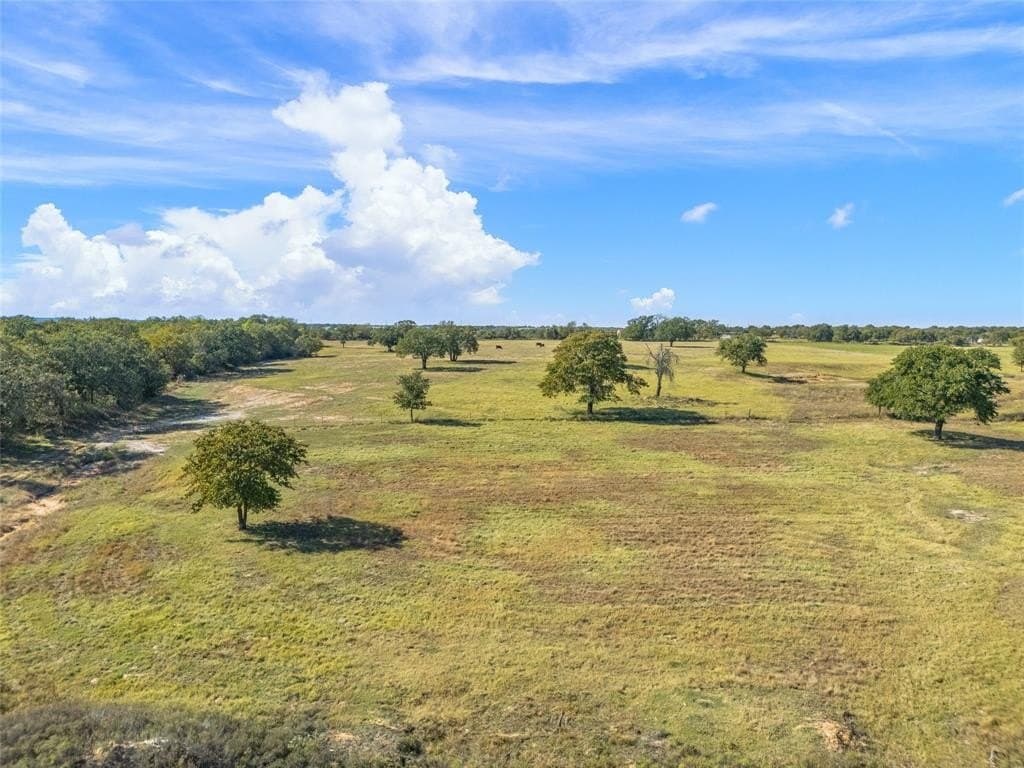 40.5 acres in Parker County - photo 8