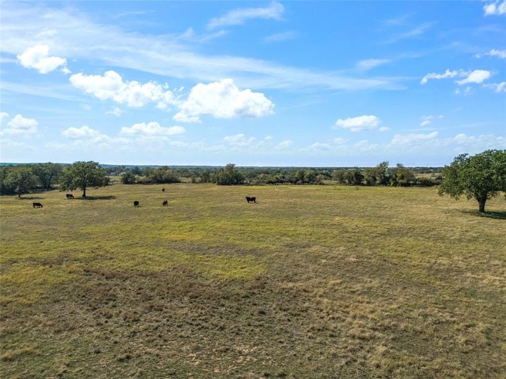 40.5 acres in Parker County - photo 19
