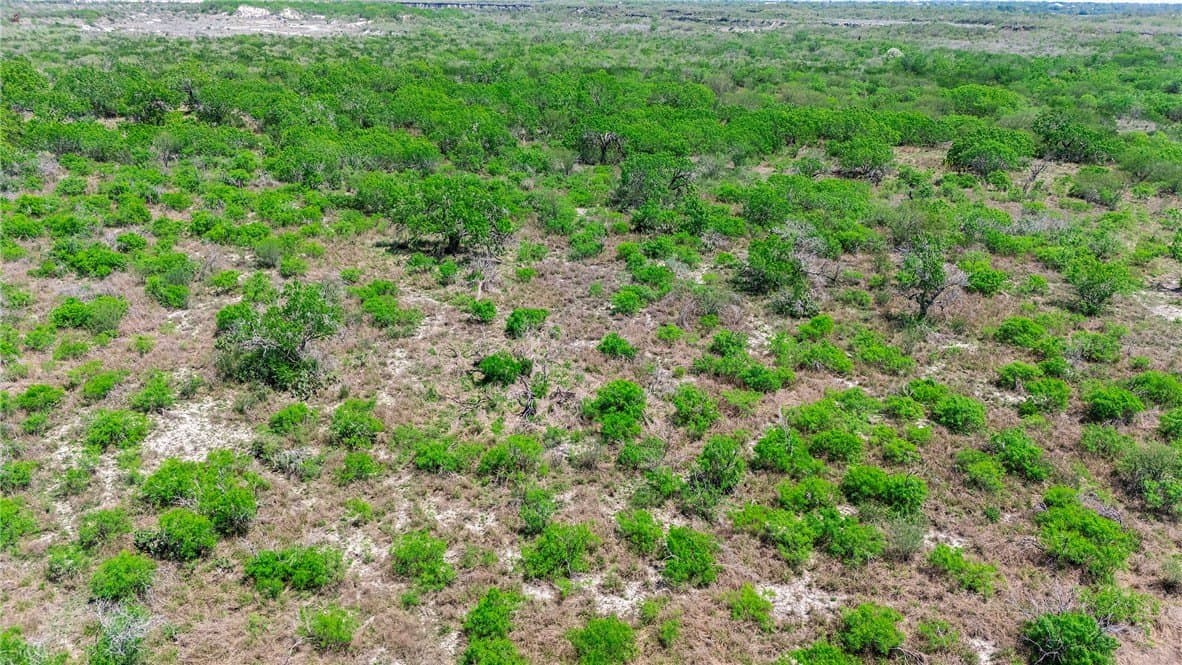 60 acres in San Patricio County - photo 14