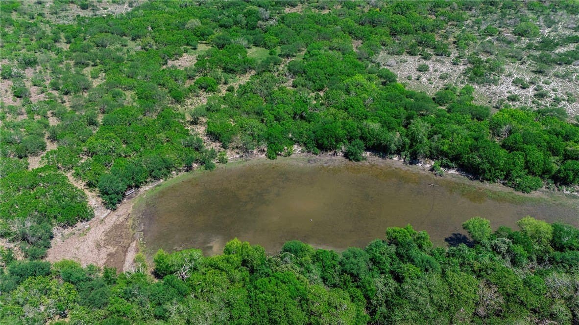 60 acres in San Patricio County - photo 22