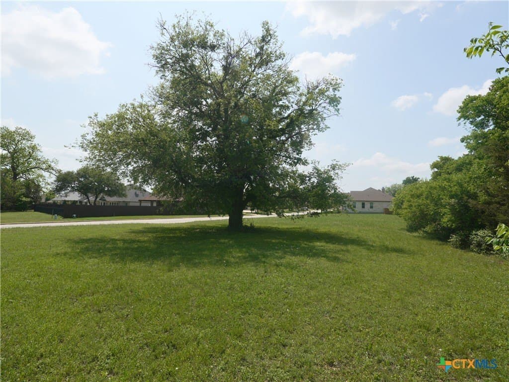 0.23 acres in Bell County - photo 8
