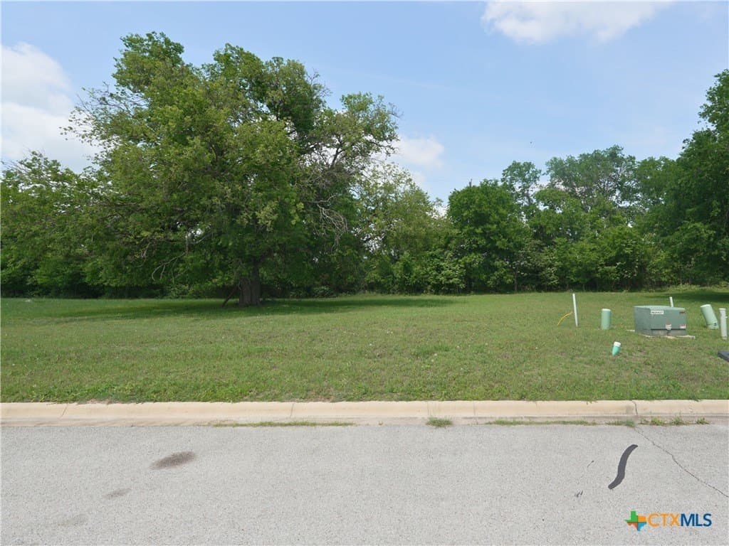 0.23 acres in Bell County - photo 4