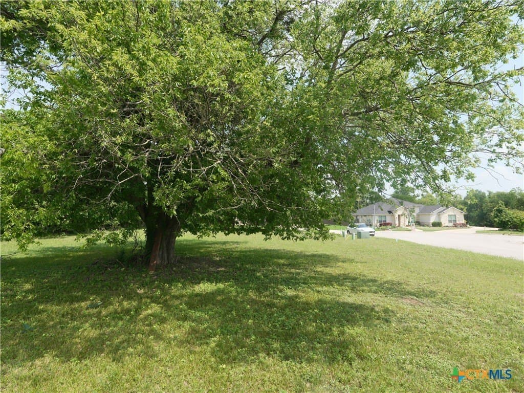 0.23 acres in Bell County - photo 10