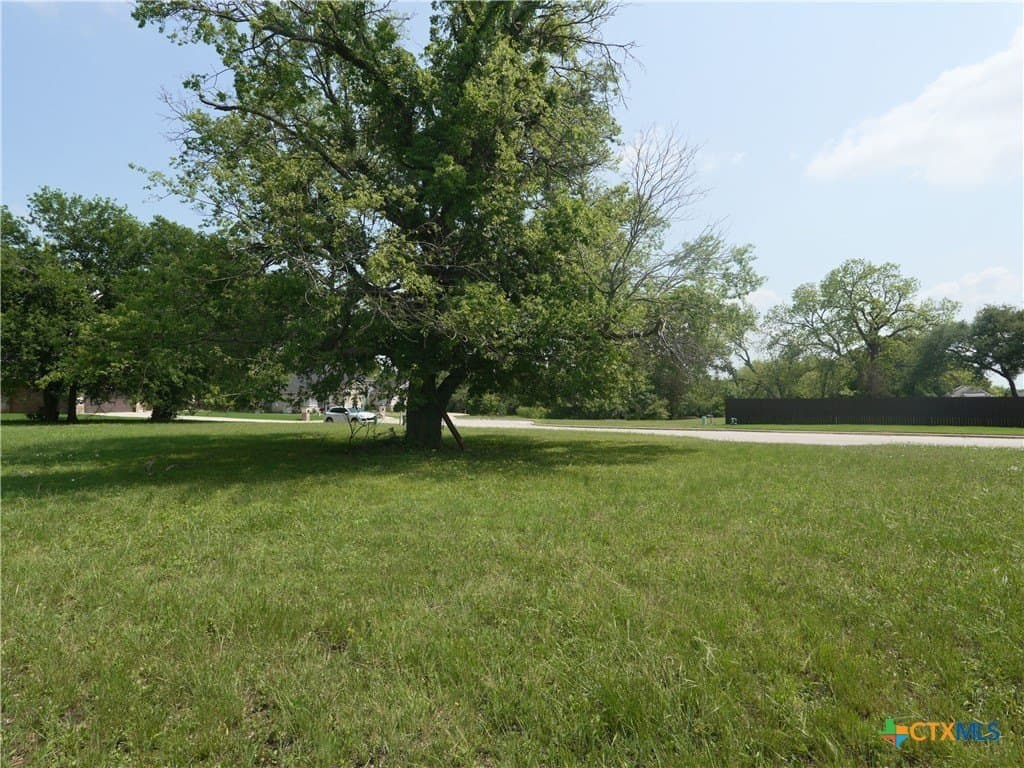 0.23 acres in Bell County - photo 9