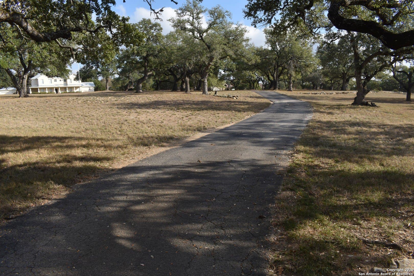 0 acres in Comal County - photo 7