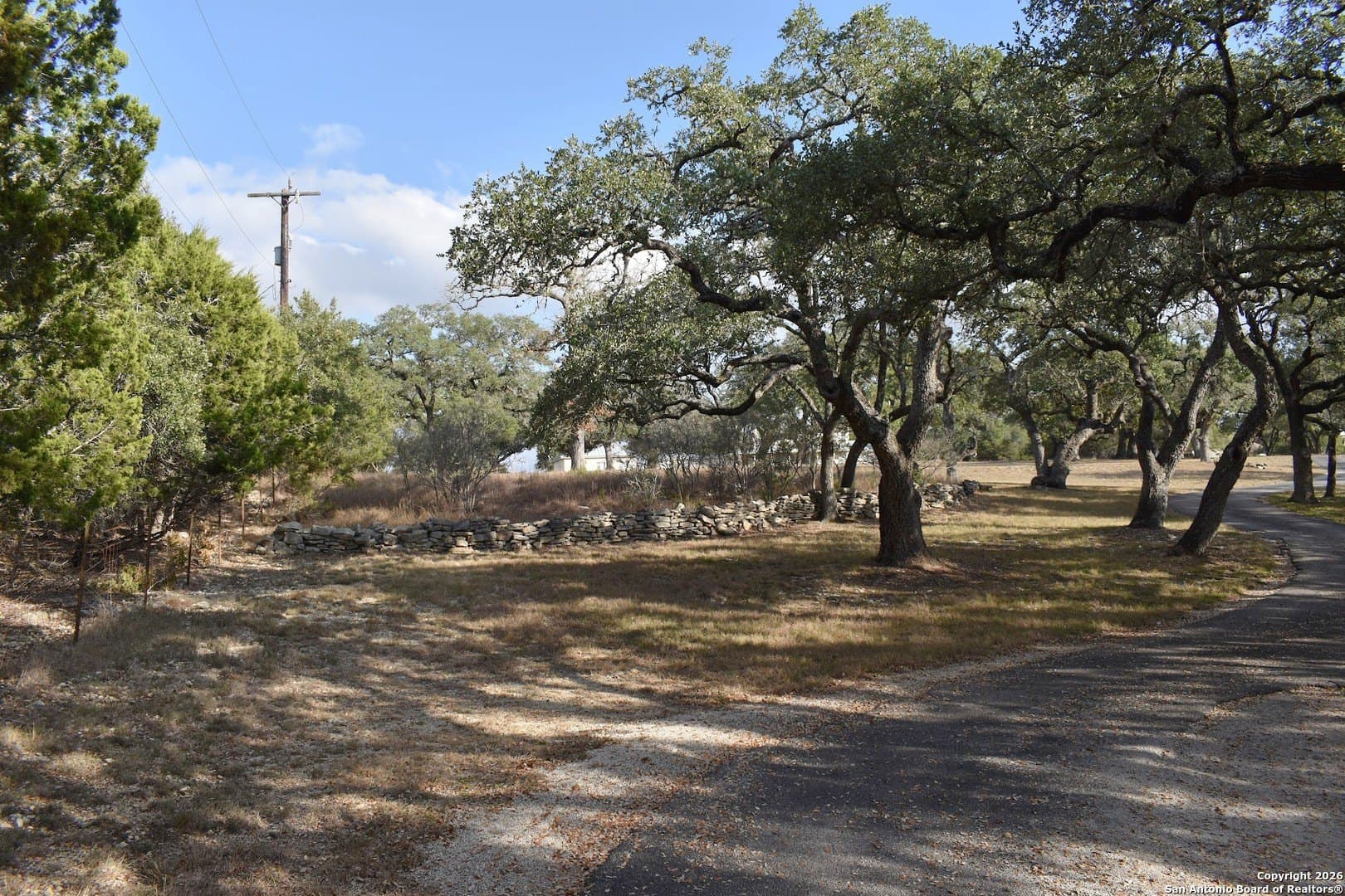 0 acres in Comal County - photo 4