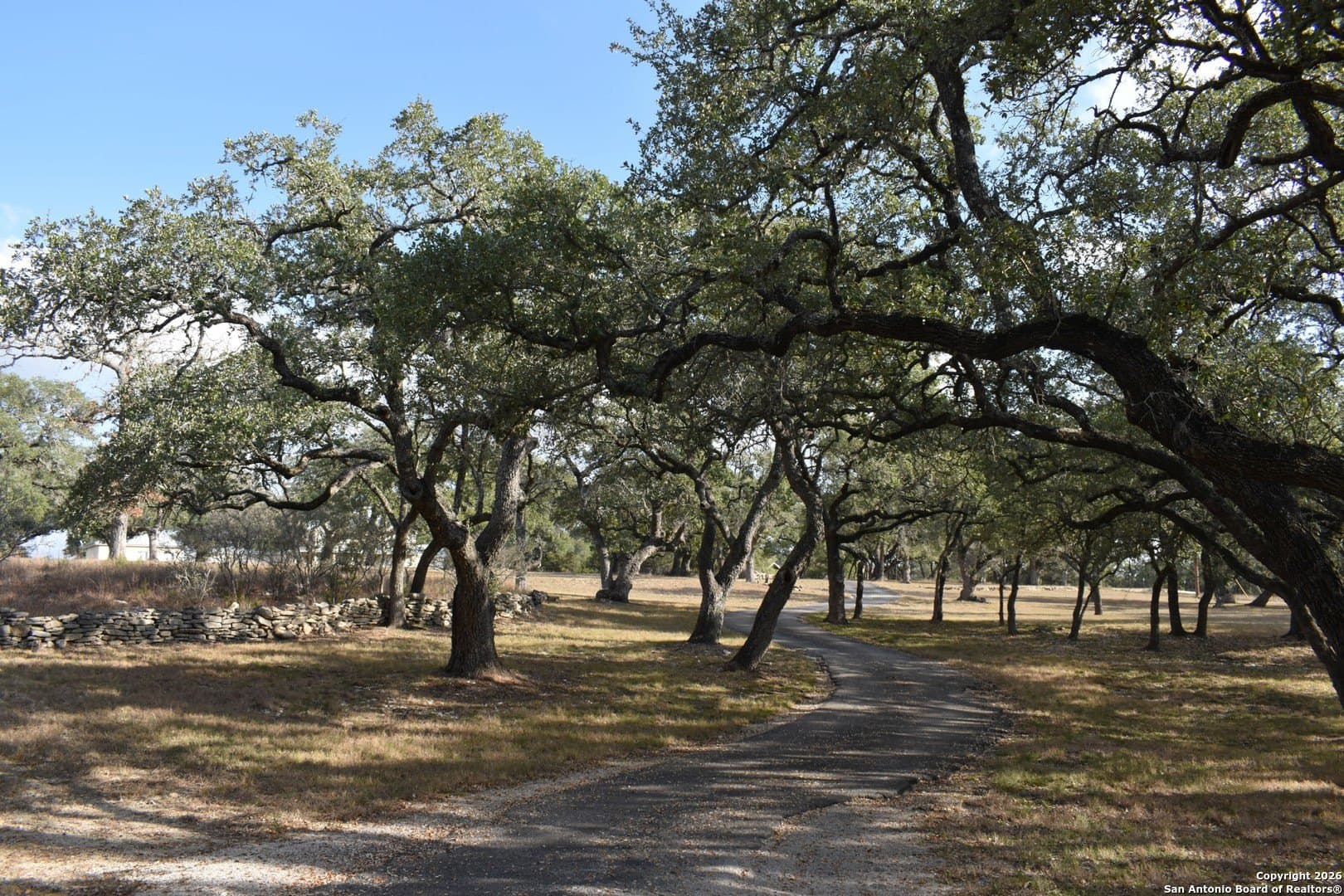 0 acres in Comal County - photo 5