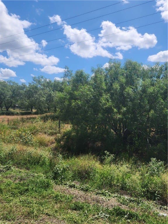 28.44 acres in San Patricio County - photo 6