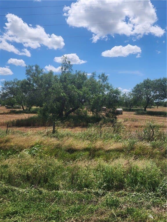 28.44 acres in San Patricio County - photo 7