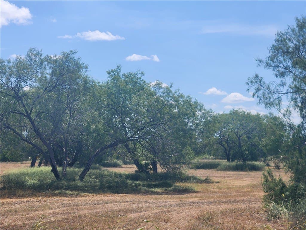 28.44 acres in San Patricio County - photo 5