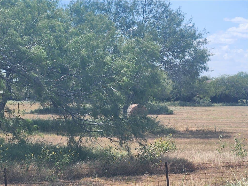 28.44 acres in San Patricio County - photo 3