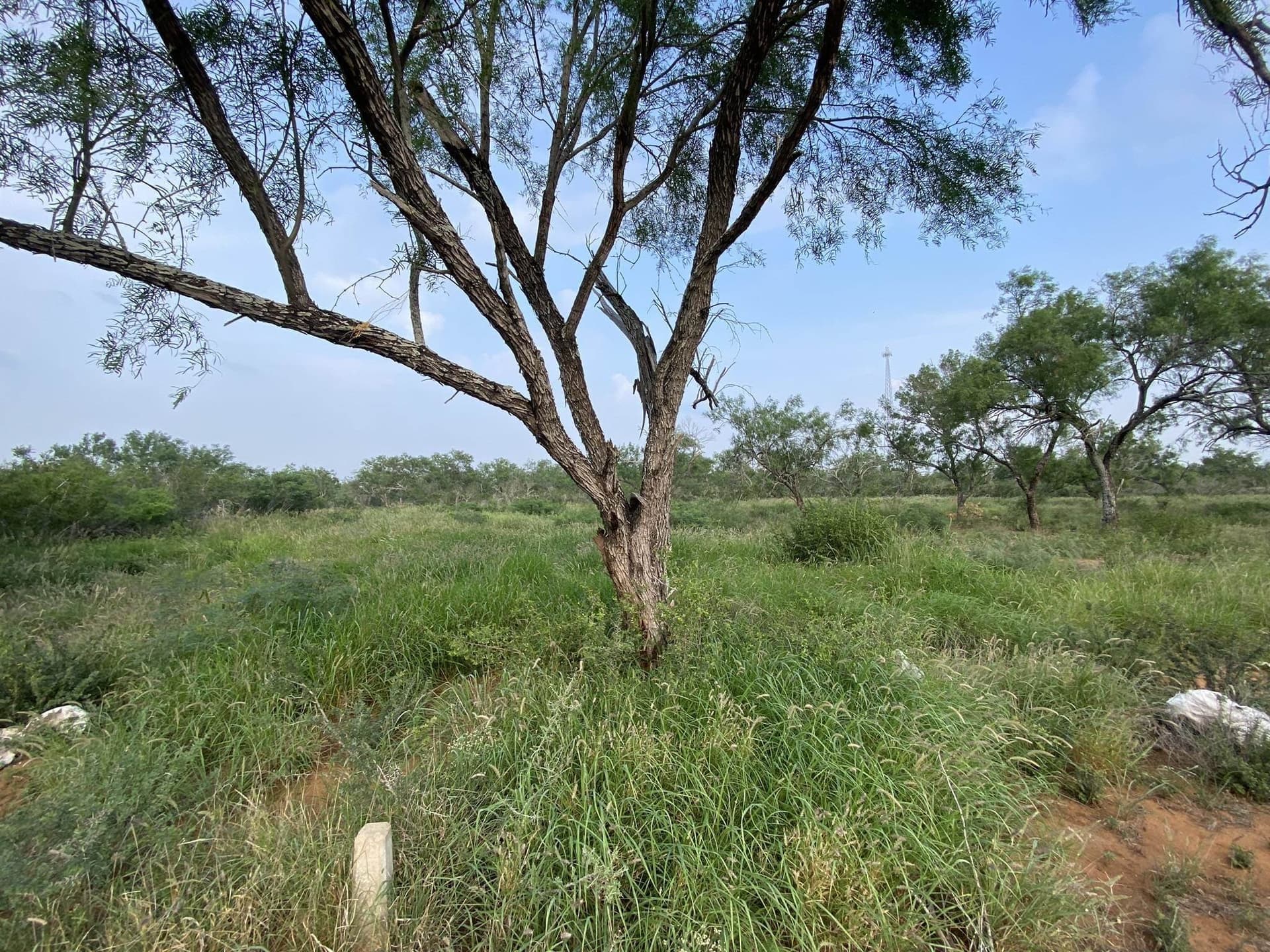 13.45 acres in La Salle County - photo 9