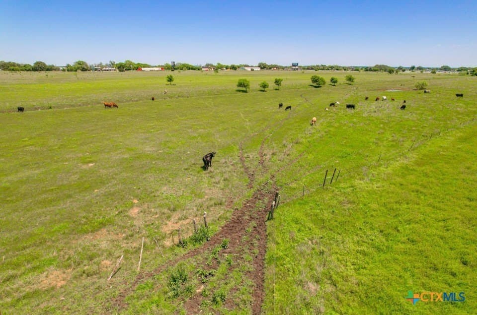 110 acres in Burnet County - photo 13
