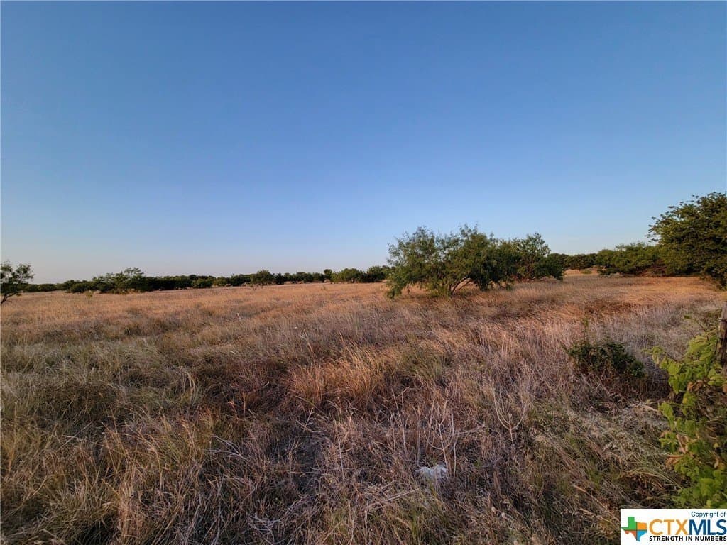 2 acres in Bell County - photo 5