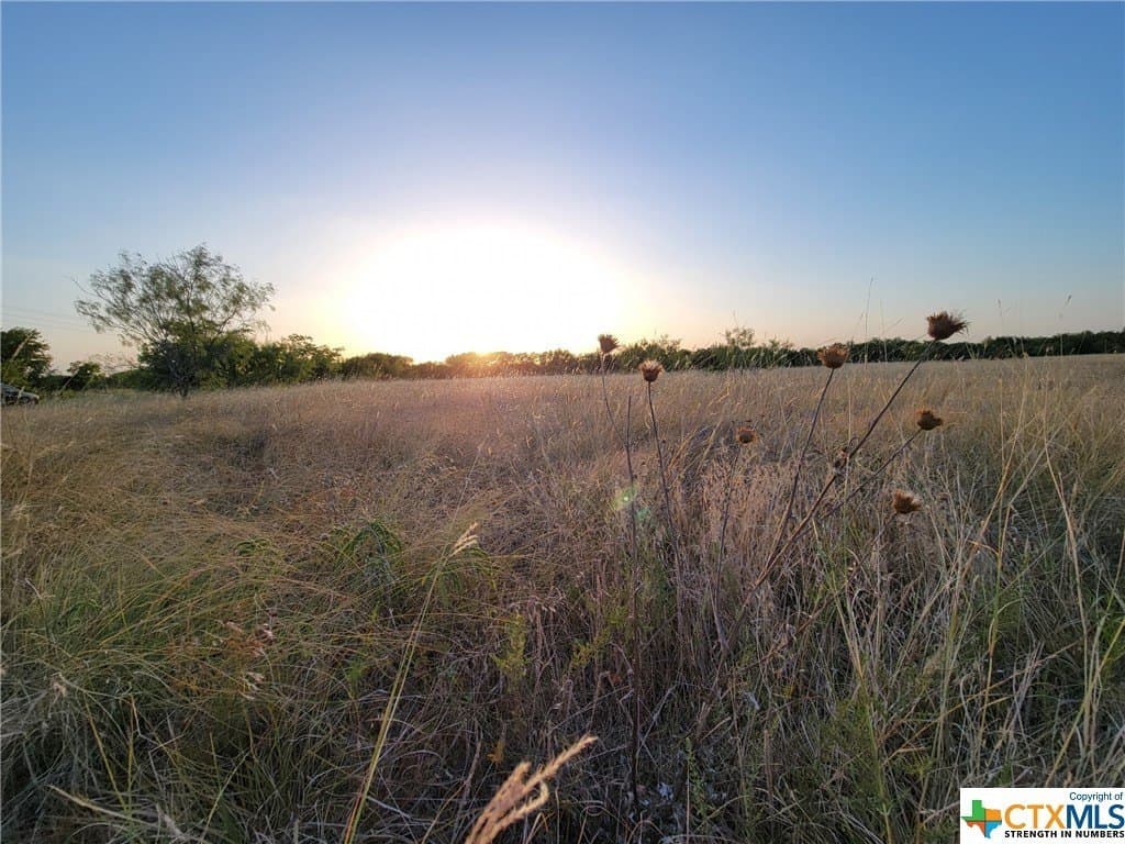 2 acres in Bell County - photo 4