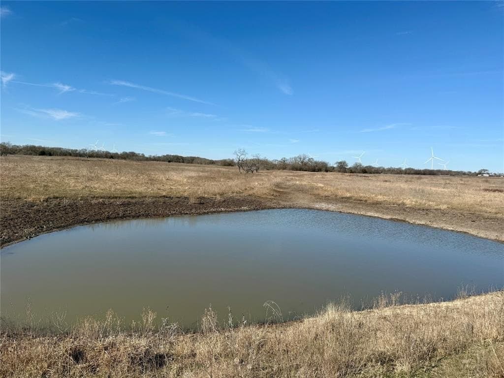 137.39 acres in Navarro County - photo 4