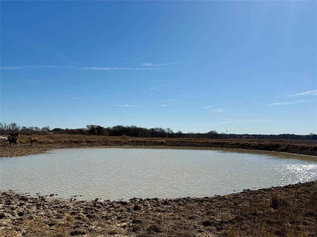 137.39 acres in Navarro County - photo 30