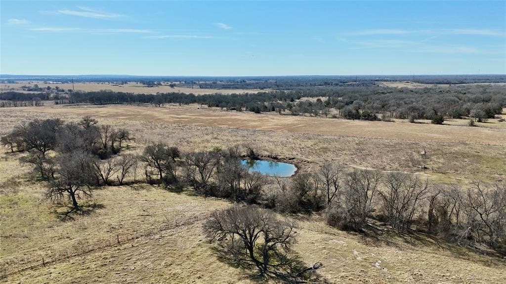137.39 acres in Navarro County - photo 21