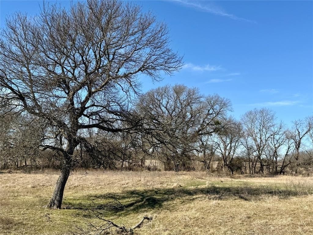 137.39 acres in Navarro County - photo 29