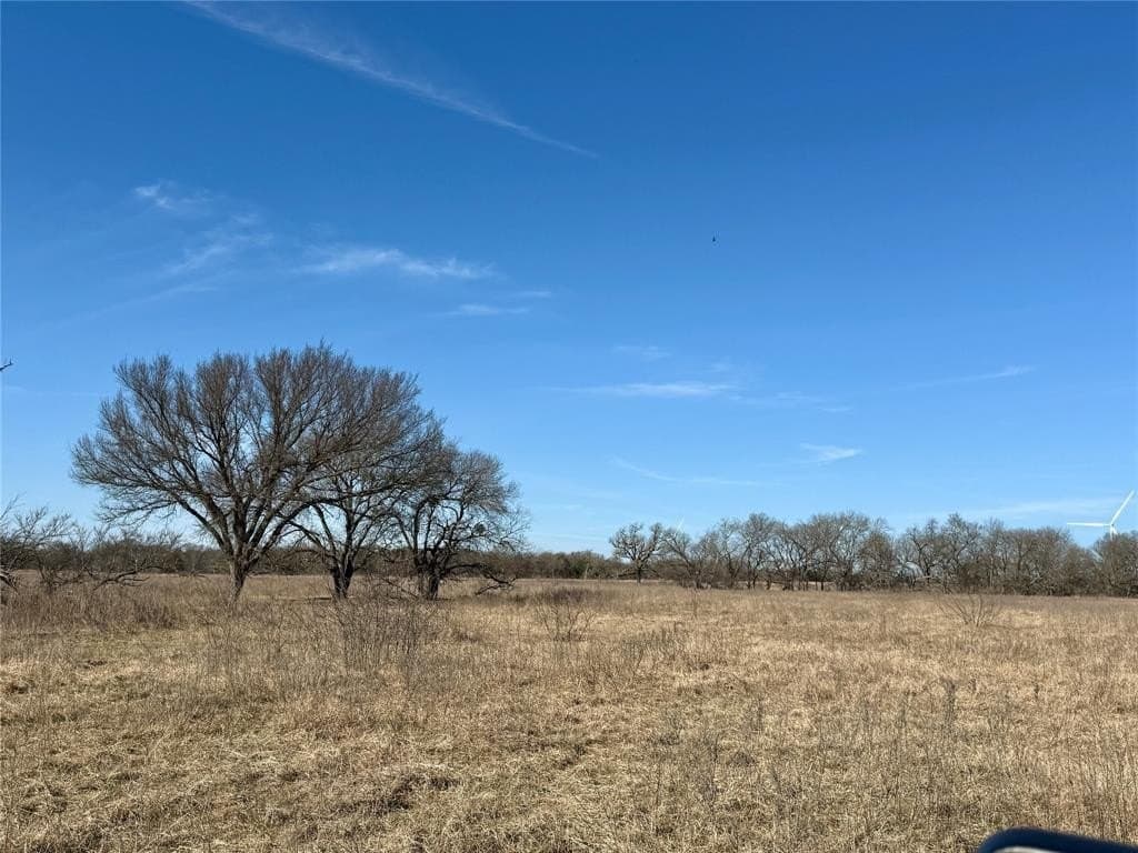 137.39 acres in Navarro County - photo 28