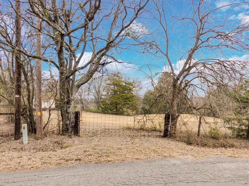 12 acres in Dallas County - photo 2