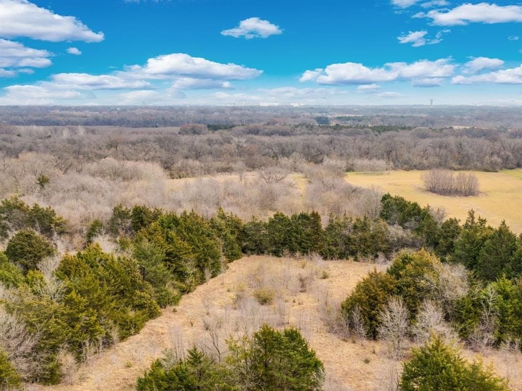 12 acres in Dallas County - photo 12