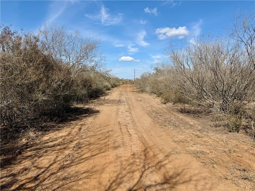 34.91 acres in Duval County - photo 29