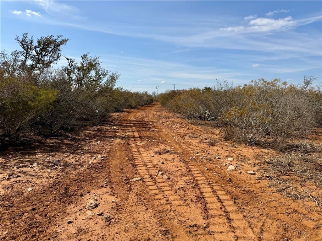 34.91 acres in Duval County - photo 23