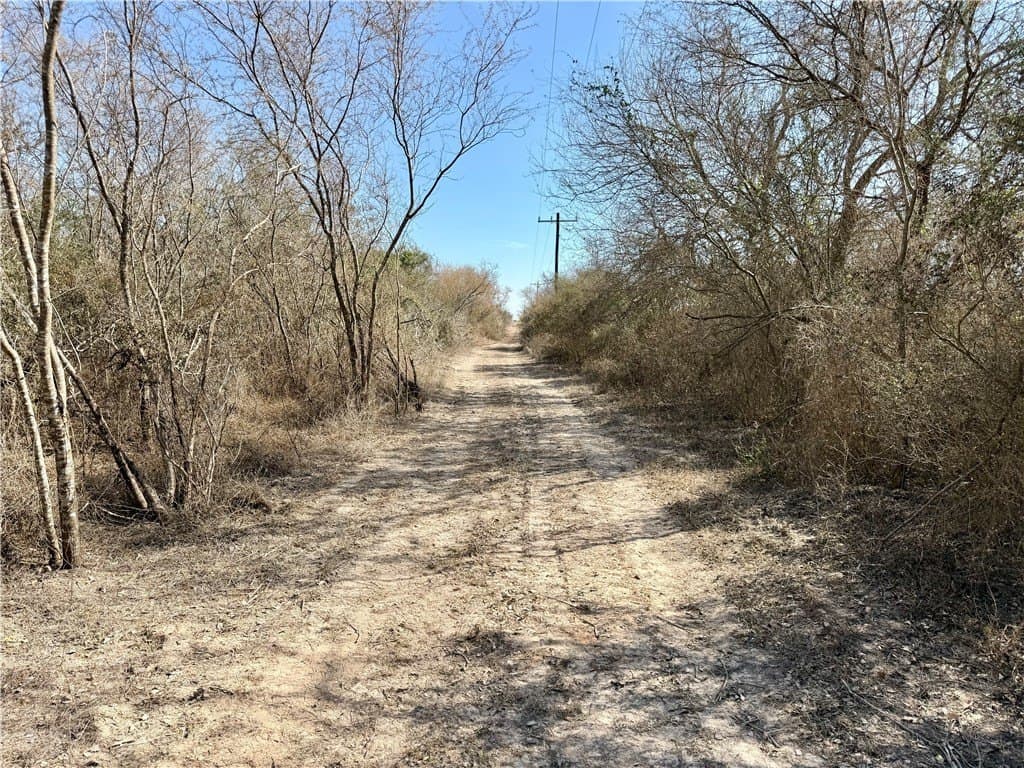 34.91 acres in Duval County - photo 28
