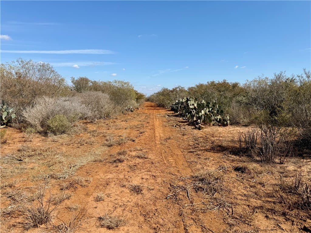 34.91 acres in Duval County - photo 27