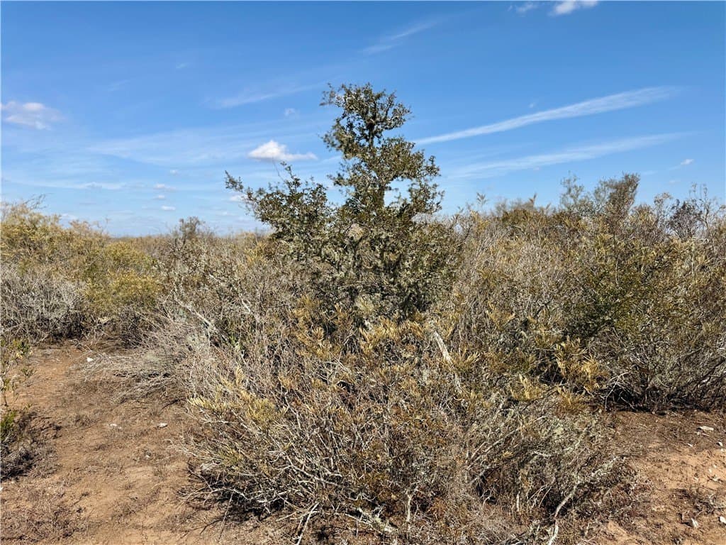 34.91 acres in Duval County - photo 17