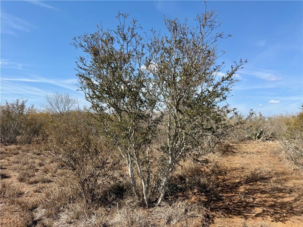 34.91 acres in Duval County - photo 3