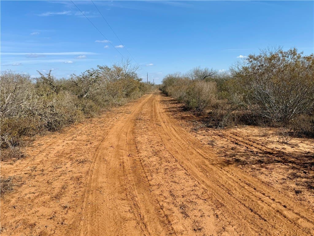 34.91 acres in Duval County - photo 30