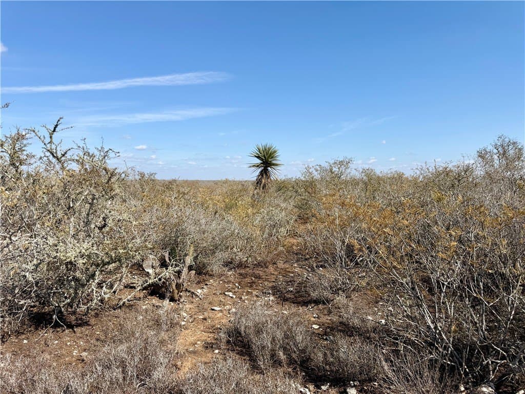 34.91 acres in Duval County - photo 12