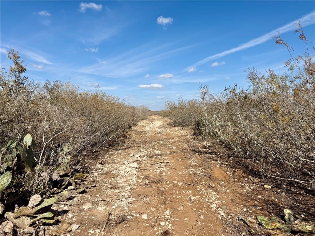 34.91 acres in Duval County - photo 6