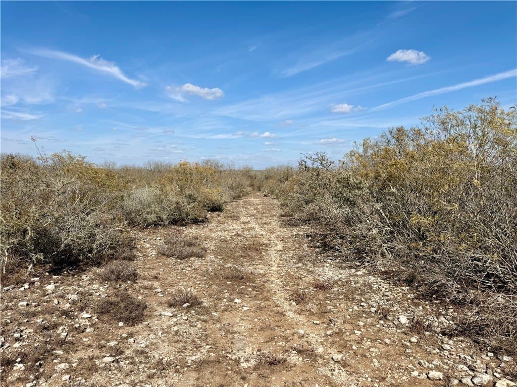 34.91 acres in Duval County - photo 14
