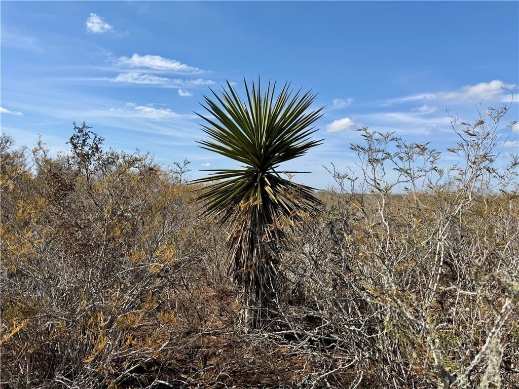 34.91 acres in Duval County - photo 9