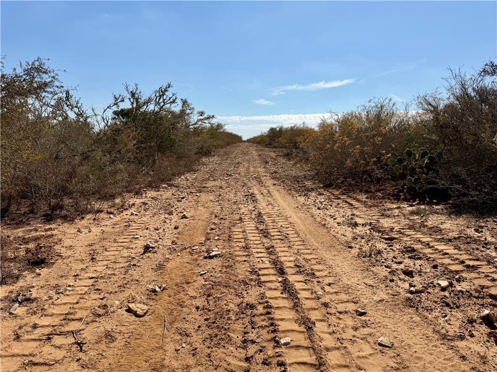 34.91 acres in Duval County - photo 20